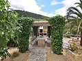 Maison en partie troglodyte modernisée dans les montagnes in Spanish Fincas