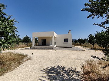 Chalets de obra nueva en Pinoso