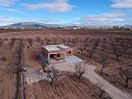 Chalets de obra nueva en Pinoso in Spanish Fincas