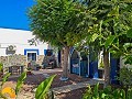 6 Bedroom 5 Bathroom Finca Catral in Spanish Fincas