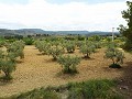 Gehen Sie in die Stadt Villa mit Pool in Spanish Fincas