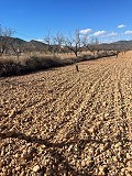 Grand terrain à vendre près de Pinoso in Spanish Fincas