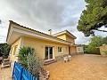 Villa de 7 chambres et 4 salles de bains à Elda in Spanish Fincas