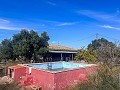 Maison de campagne avec piscine et maison d'hôtes entre Sax et Salinas in Spanish Fincas