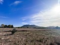 Maison de campagne avec piscine et maison d'hôtes entre Sax et Salinas in Spanish Fincas