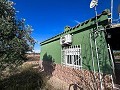 Maison de campagne avec piscine et maison d'hôtes entre Sax et Salinas in Spanish Fincas