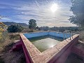 Maison de campagne avec piscine et maison d'hôtes entre Sax et Salinas in Spanish Fincas