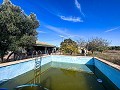 Maison de campagne avec piscine et maison d'hôtes entre Sax et Salinas in Spanish Fincas