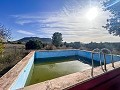 Maison de campagne avec piscine et maison d'hôtes entre Sax et Salinas in Spanish Fincas