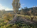 Groot Landhuis in Spanish Fincas