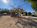 Superbe demeure avec piscine privée, terrain de sport et espace barbecue in Spanish Fincas